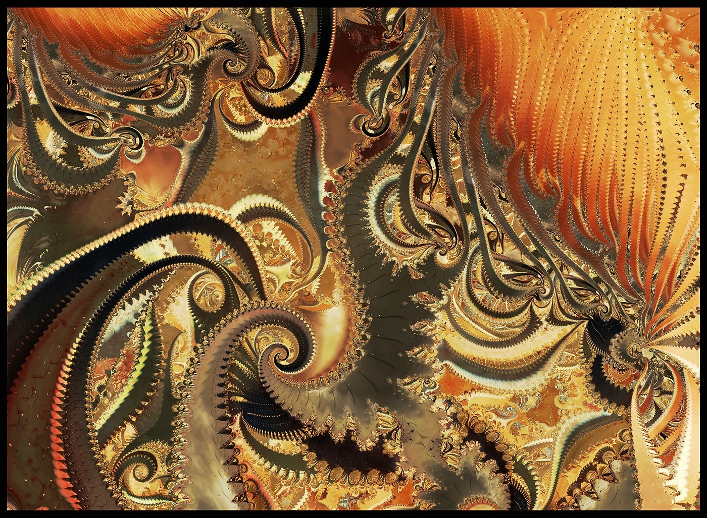 Fractal Image 33112zr1.jpg