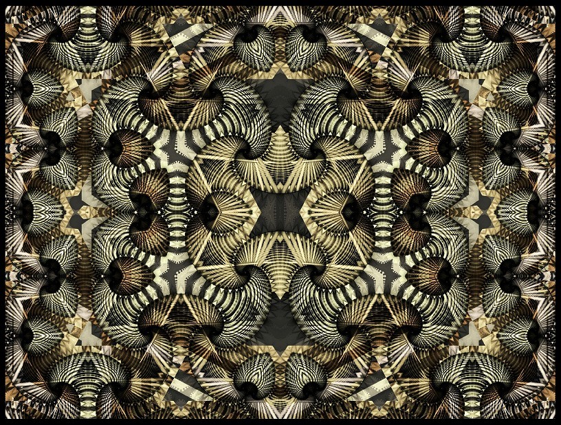 Fractal Image 71261v.jpg