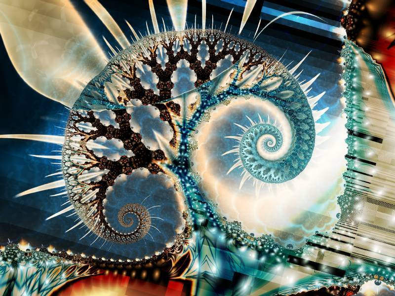 Fractal Image Dec07_1.jpg