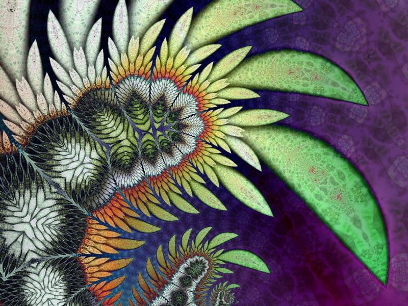 Fractal Image Nov13_1.jpg